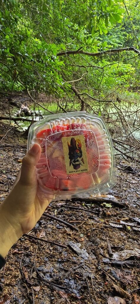 Boruca cultural tour and trek