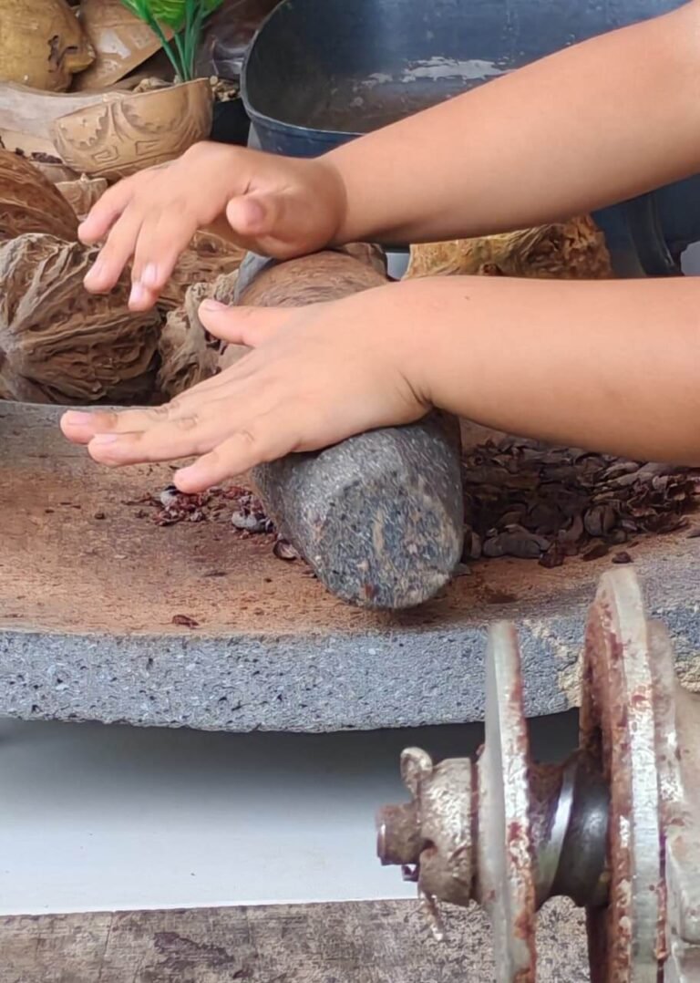 Capicacoa Chocolate Experience