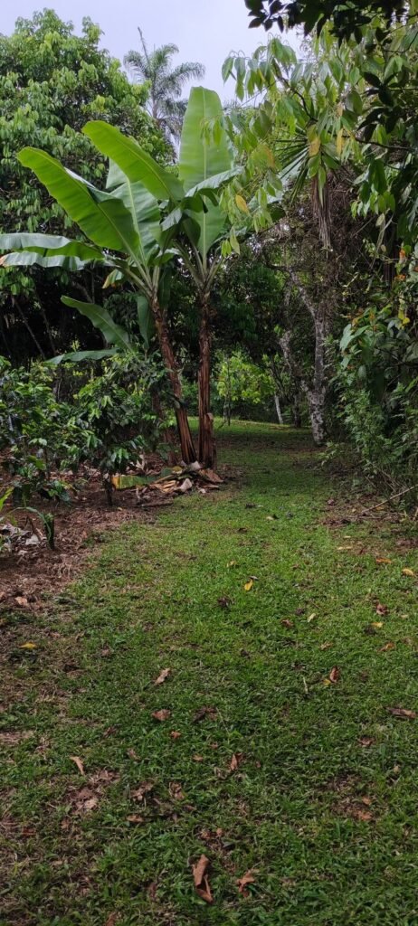 Finca Colibí gastronomic eperience