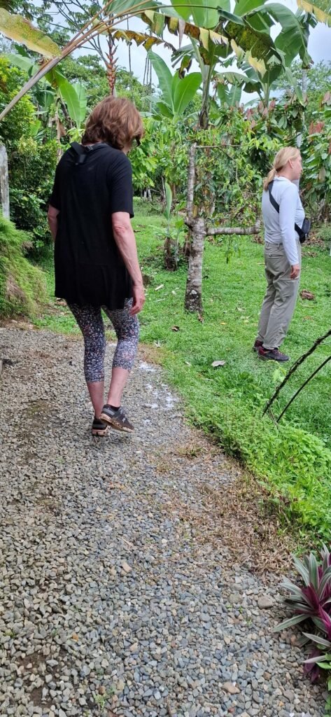 Finca EYA Roots, fruit, and cacao experience