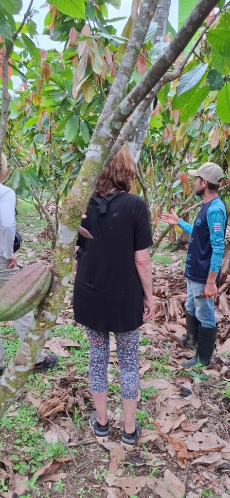 Finca EYA Roots, fruit, and cacao experience