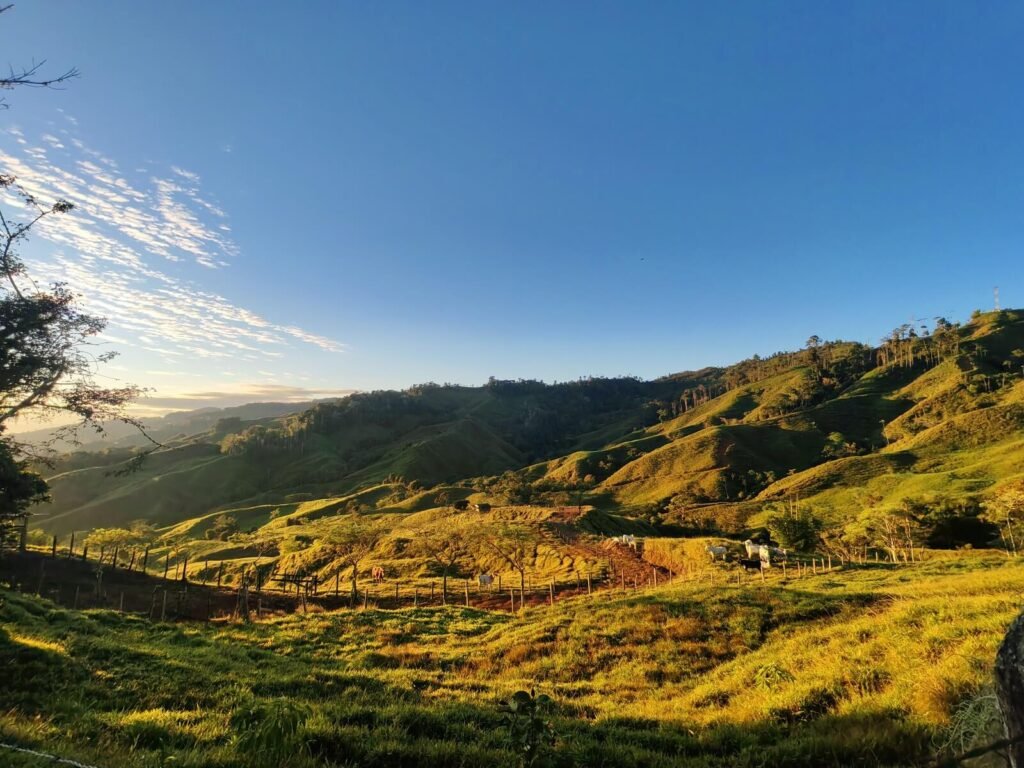 Finca EYA Roots, fruit, and cacao experience