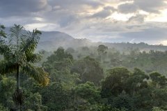 Los Cusingos - Bird refuge tour Dr. Skutch