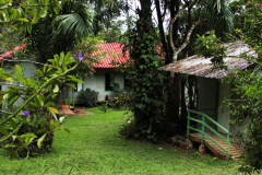Los Cusingos - Bird refuge tour Dr. Skutch