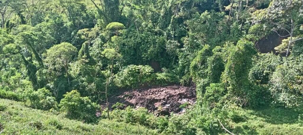 Paleontological tour - The path of the giants