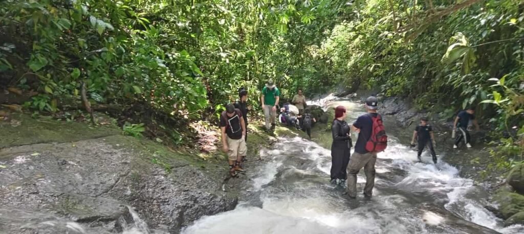 Paleontological tour - The path of the giants