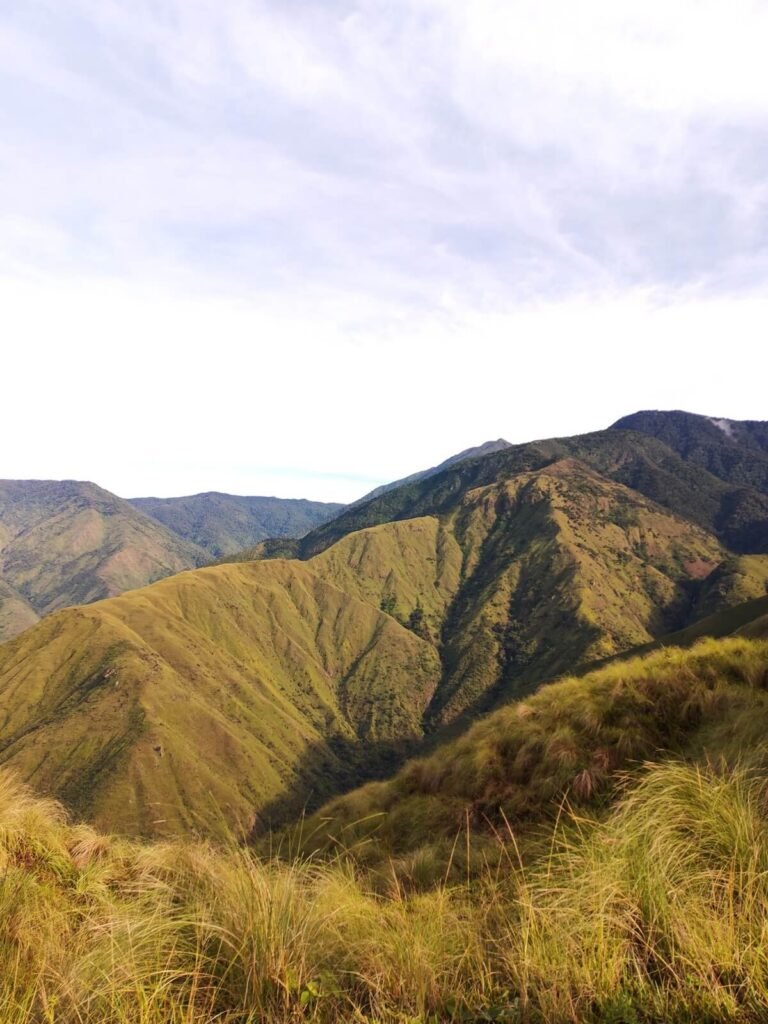 Sabana OAK & Laguna Los Corderos Trek