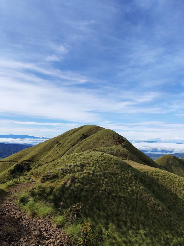 Sabana OAK & Laguna Los Corderos Trek