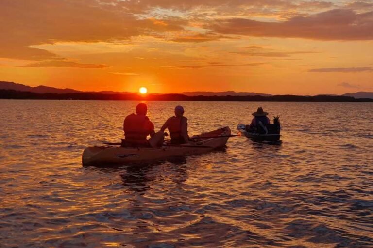 Sunset & bioluminescence kayak tour