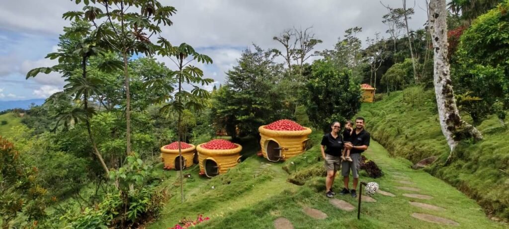 The path of flavor (vineyard, beer & coffee)